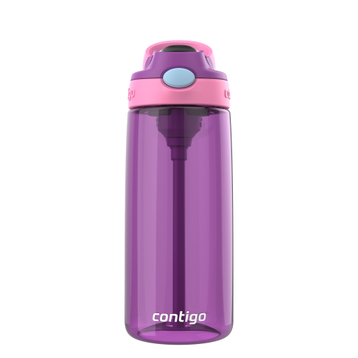 Contigo 20 oz Autospout Raisin - Plastique